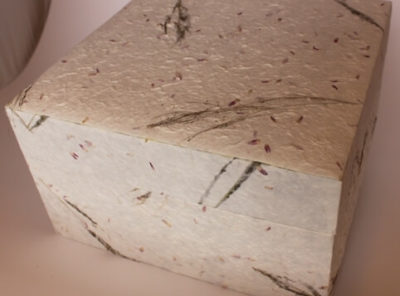 Cercueil biodégradable pour petits animaux