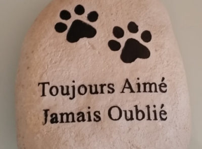 Pierre tombale chien-chat